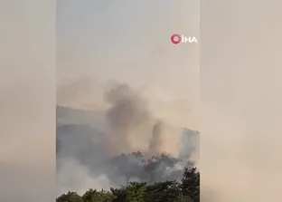Bolu Göynük’te ormanlık alanda yangın çıktı!