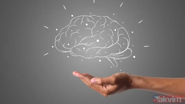 10 milyon nöron 26 milyar bağlantı! İşte dijital beynin ilk görüntüsü... - 5