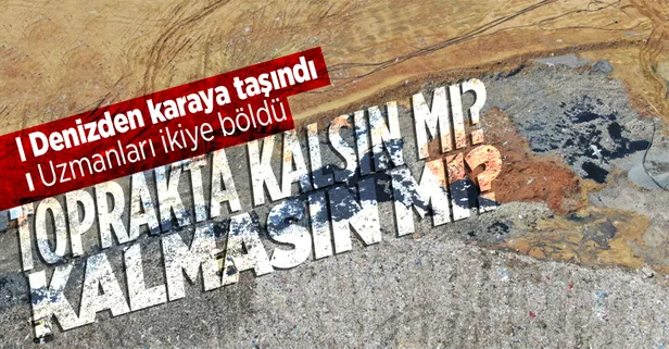 Marmara Denizi'ndeki müsilaj uzmanları ikiye böldü! 'Toprağa dökülmeli' diyen de var 'başka yere nakledilmeli' diyen de