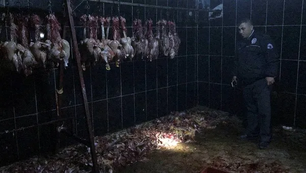 Görüntüler mide bulandırdı-5
