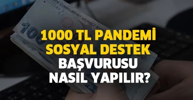 1000 TL Pandemi Sosyal Destek başvurusu sorgulanıyor!