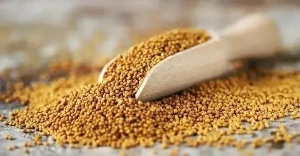 Aşk olsun hardal