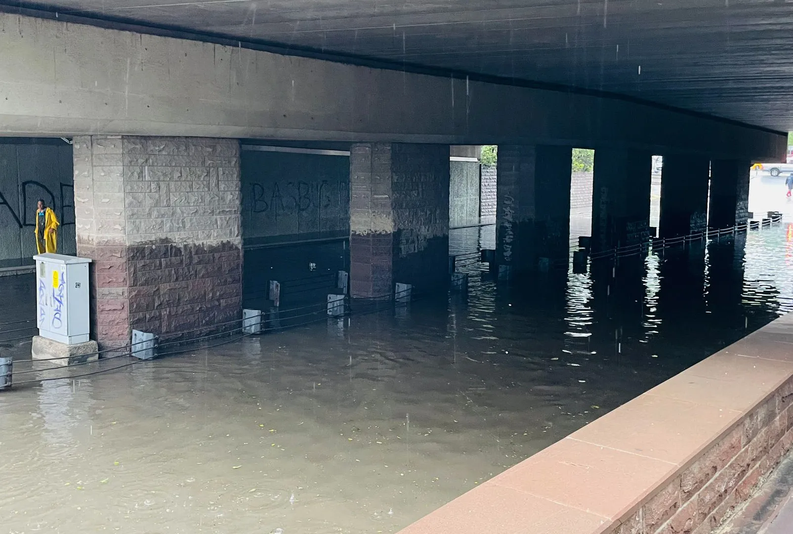 Ankara’da dolu sonrası kenti fareler bastı