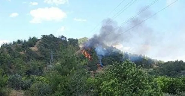 Muğla Dalaman'da orman yangını!