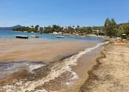 Muğla’nın ünlü koyunun son hali içler acısı! 300 haneli sitenin foseptifi koya salınmış