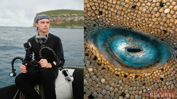 Mavi bir göl mü? Kimse ilk bakışta anlamıyor! Bu görüntü aslında ölümcül bir gerçeği saklıyor… - 4