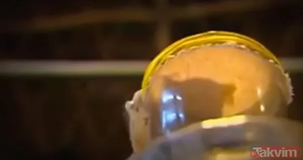 Sadece tek bir damlası kanı hale getirmeye yetti! 55 milyonluk yılan deneyi tehlikenin kanıtı - 17