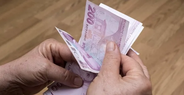 1000 lira maddi yardım TC kimlik no ile sorgulama ekranı!-2