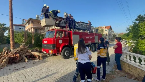 agac-tepesinde-oldu-budamak-icin-ozel-aparatla-cikti-rahatsizlaninca-yardim-gelmedi-1650959439142.jpg Ağaç tepesinde öldü! Budamak için özel aparatla çıktı rahatsızlanınca yardım gelmedi-5