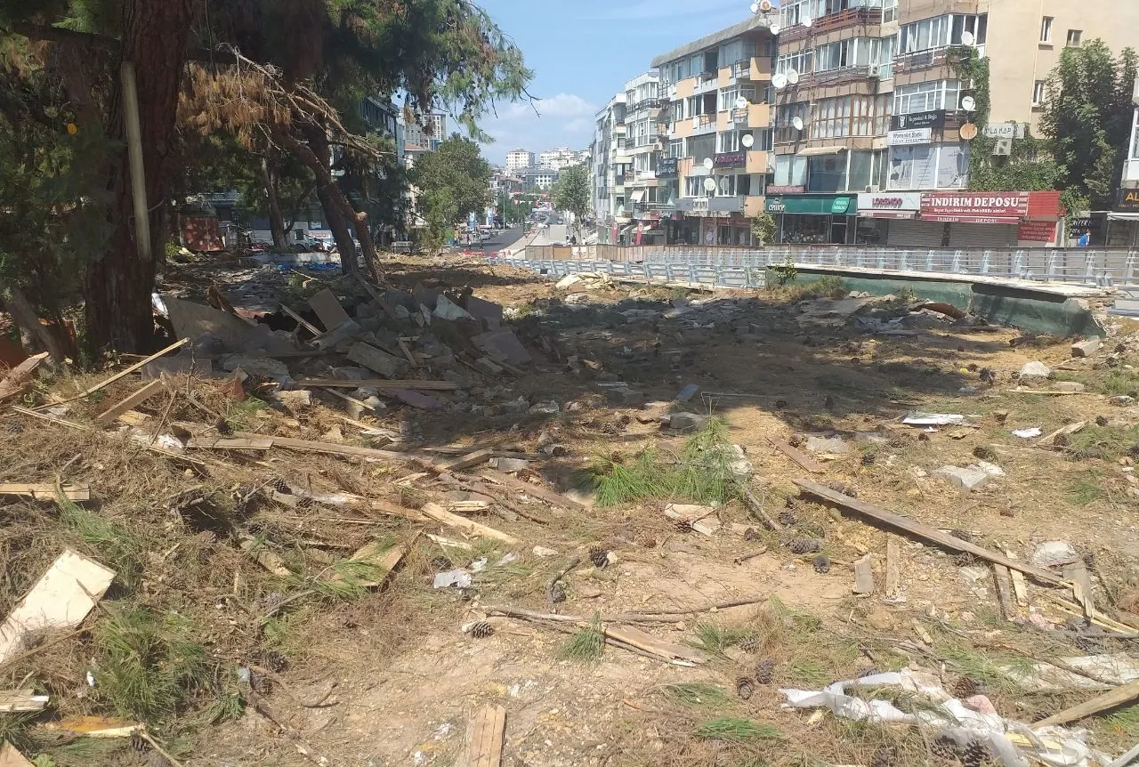 İBB 17 ağacı katletti!