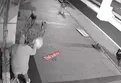 Sakarya Hendek'te başıboş köpek dehşeti!