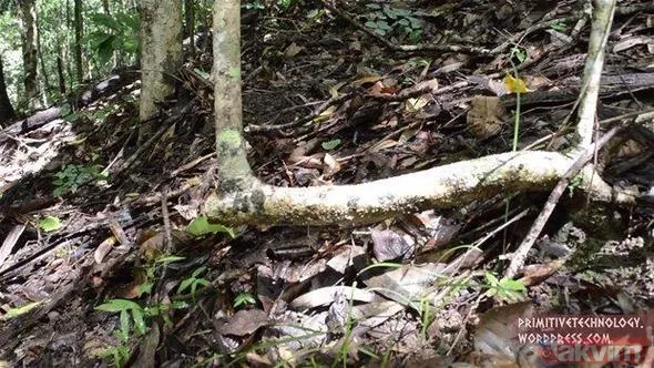 Su gücüyle öyle bir şey yaptı ki! YouTube videosu milyonlar izlendi... - 16