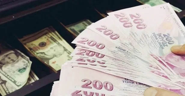 1320 TL destek verilecek! Paranızın hesabınıza yatması için e-devlet başvurusu nasıl yapılır?-2