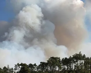 Bursada orman yangını! 10 saatlik çalışma sonucu kontrol altına alındı
