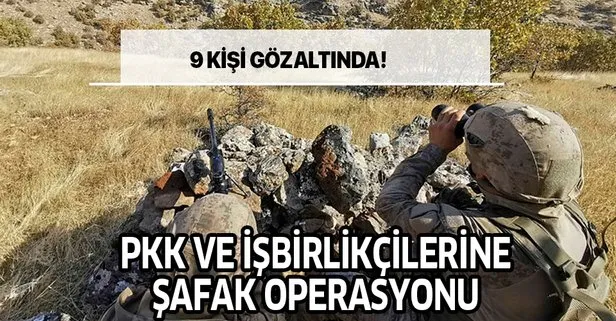 Son dakika: Mardin’de PKK’ya yönelik yapılan operasyonda 9 şüpheli gözaltına alındı