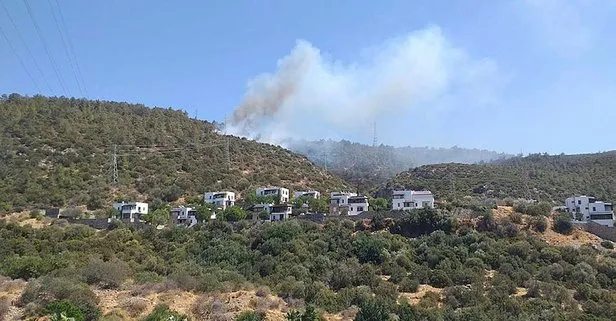 Bodrum’da orman yangını! Ekipler seferber oldu