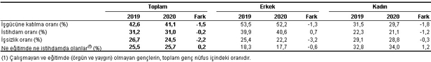 Son dakika: 2020 Ocak ayı işsizlik rakamları belli oldu! 2020 Ocak ayı işgücü istatistikleri-4