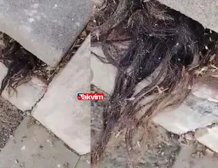 Mezarlıkta dehşetin yüzünü ortaya çıkaran görüntü! Sosyal medya ikiye bölündü! 100 yıllık mezar taşlarının arasından çıkan saçlar...