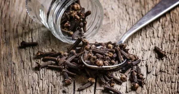 karanfil-cayinin-faydalari-nelerdir-nasil-yapilir-karanfil-cayi-ne-ise-yarar-1655410314074.jpg