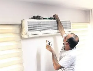 Kumru gibi