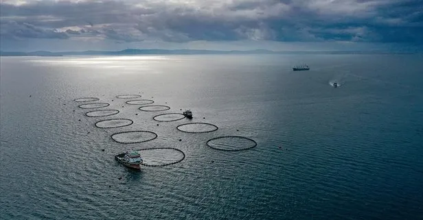 Türkiye balıkçılıkta geçen yıl 1 milyon tonla rekor kırdı: Bu yıl hedef 575 bin ton!