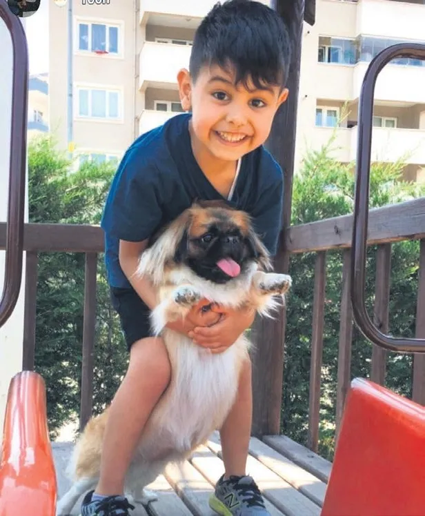 Zerrin Akça, yeğeni Eymen'i cipiyle ezdi! Duruşmada pişman olduğunu söyledi-2