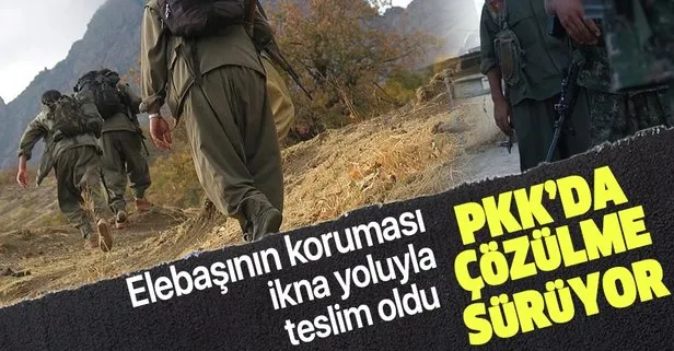 PKK’da çözülme sürüyor! O terörist teslim oldu