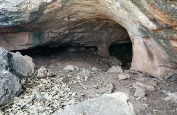 SON DAKİKA: Mardin'de PKK ajandası ele geçirildi: 25 terör işbirlikçisinden 22'si yakalandı-2