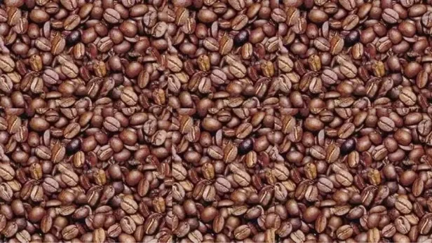 Kahve çekirdeklerindeki gizli adamı 33 saniyeden önce görebilir misiniz? Dahi olduğunuzu ispat edin!-2