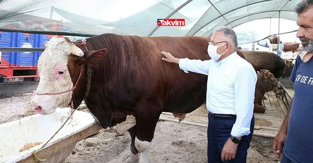 Kurban eti 7 kişiye dağıtılır mı? Kurban eti nasıl pay edilir? Kurban eti kaç kişiye dağıtılır?