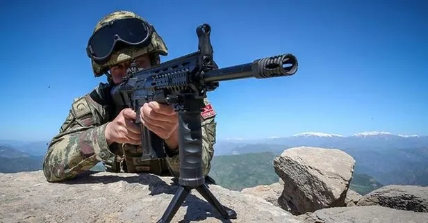 TSK'dan PKK'ya ağır darbe