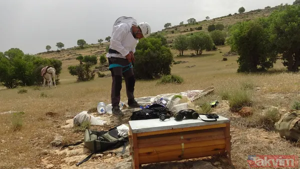 Babasından öğrendi! 150 metre yükseklikteki kayalardan topladığı balı 1000 TL'ye satıyor - 5