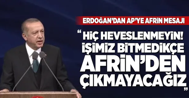 Erdoğan'dan AP'ye Afrin mesajı