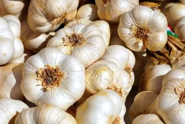 Sarımsak kalpten anlar