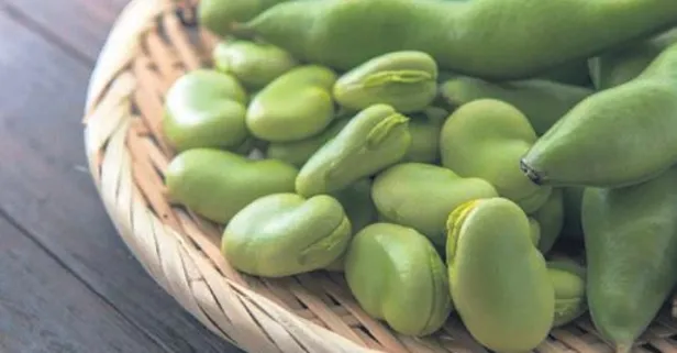 Parkinsona bakla! İşte faydaları...