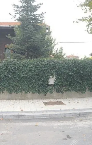 Berkay patron oluyor