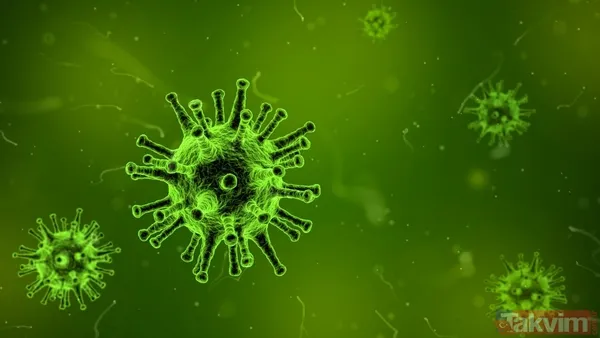 Avrupa alarmda! 7 mutasyon geçiren virüs Türkiye’ye doğru geliyor - 8