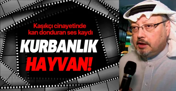 Cemal Kaşıkçı cinayetiyle ilgili kan donduran ses kaydı: Kurbanlık hayvan!