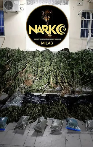 Muğla'da turizmci çifte uyuşturucu operasyonu! Kilolarca ele geçirildi