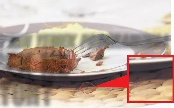 Zuhal Topal’la Sofrada programında böcek skandalı! Tabağın altından çıktı-5