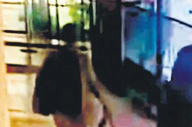 Bebek kaçıran!