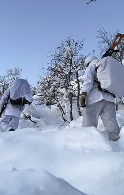 PKK'nın üst düzey teröristi yakalandı