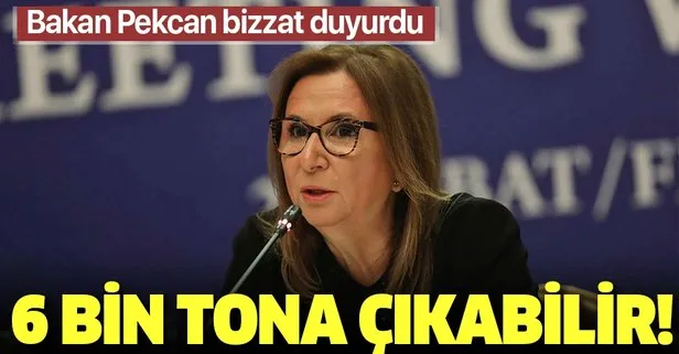 Pekcan'dan flaş koronavirüs tedbiri açıklaması