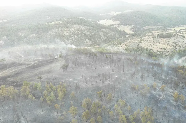Çanakkale'de 2,5 hektar ormanlık alan yandı