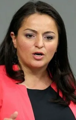 Almanya'nın Kürt vekilinden küstah sözler