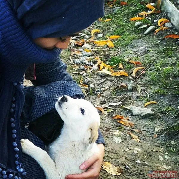 SON DAKİKA! Samuray kılıcıyla Başak Cengiz'i katleden Can Göktuğ Boz'un yeni fotoğrafı çıktı: Spor yap, tuzak kur - 29