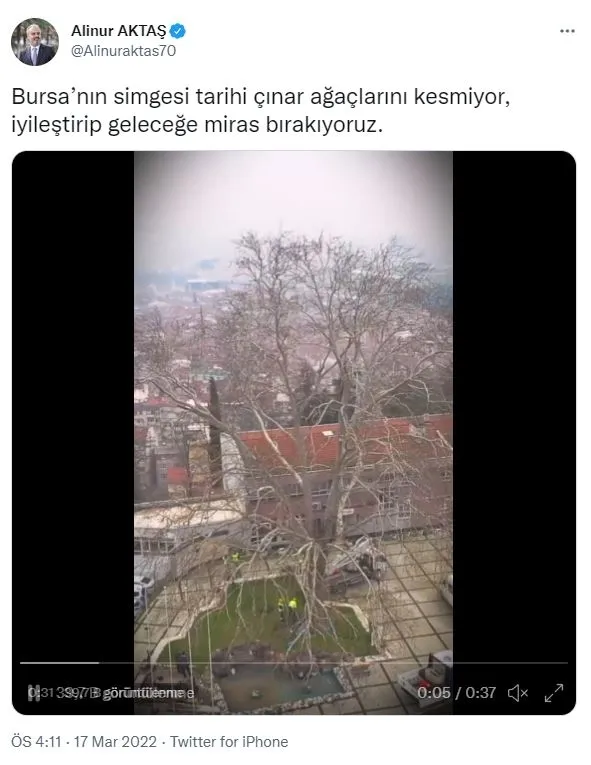 ibb-tarihi-cinarlari-keserken-bursa-buyuksehir-belediyesinin-433-yillik-cinarlarin-bakimini-surduruyor-1647529058363.jpg İBB tarihi çınarları keserken, Bursa Büyükşehir Belediyesi 433 yıllık çınarların bakımını sürdürüyor!-3