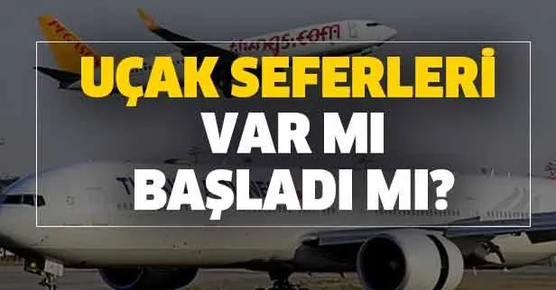Thy Ve Pegasus Sehirler Arasi Ucus Yapacak Mi Ucak Seferleri Var Mi Basladi Mi Takvim