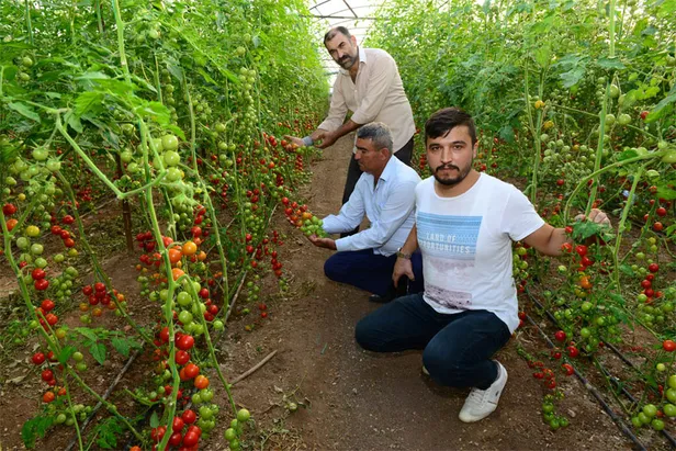 Canan Karatay'dan üreticileri ayağa kaldıran açıklama!-1