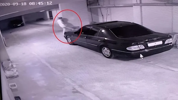 1623568503130.jpg Köpekleri ıslatıp kovalayan öğretim görevlisine dava! 'O hayvanları görünce benim midem bulanıyor'-4